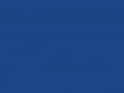 RAL 5005 (синий)